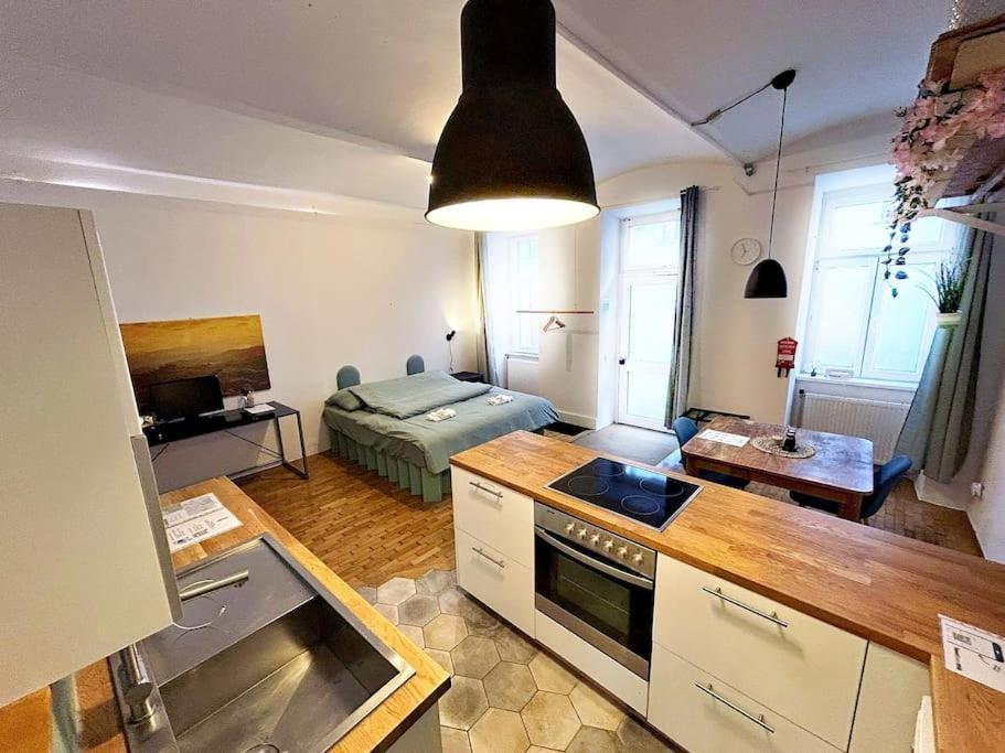 Spacious 2 Bedroom Loft With Courtyard - Centre Vídeň